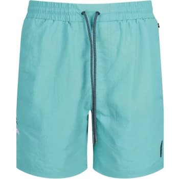 Luke Ragy Swim Short - Dark Green
