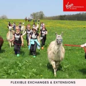 Llama Trekking for Two