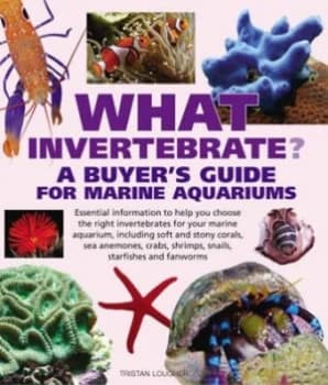 What Invertebrate by Tristan Lougher Paperback