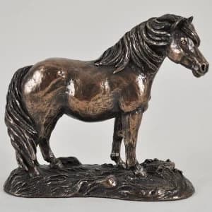 Shetland Pony by Harriet Glen Cold Cast Bronze Sculpture 12.5cm