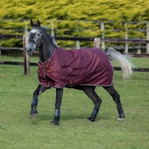 Amigo Hero ACY Lite Turnout with Disc Closure - Burgundy/Orange