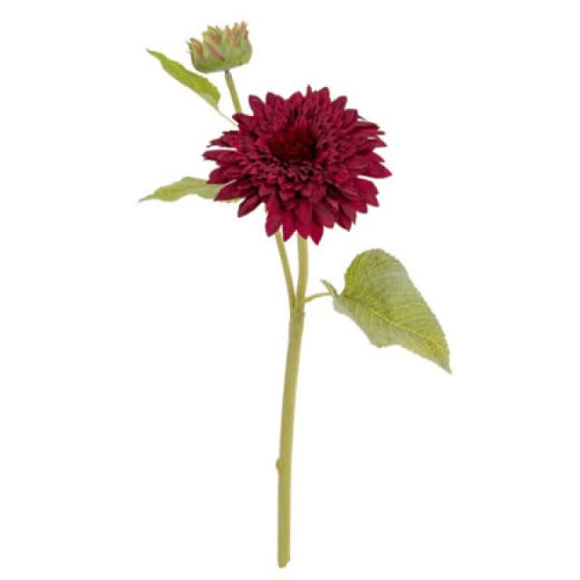 Hill Interiors Dahlia Burgundy Raven Stem Artificial Flower - Plastic - H47cm - Green
