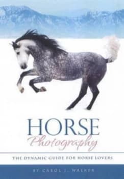 Horse Photography by Carol J Walker Paperback