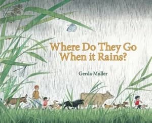 Where Do They Go When It Rains by Gerda Muller Hardback