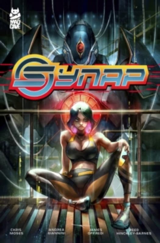 Synap Paperback / softback