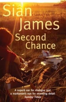 Second Chance by Sin James Book