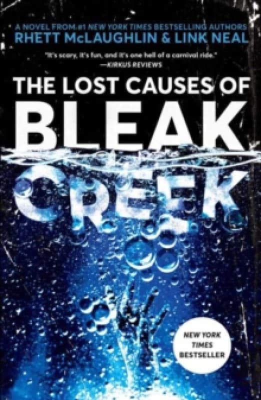The Lost Causes of Bleak Creek : A Novel Paperback / softback