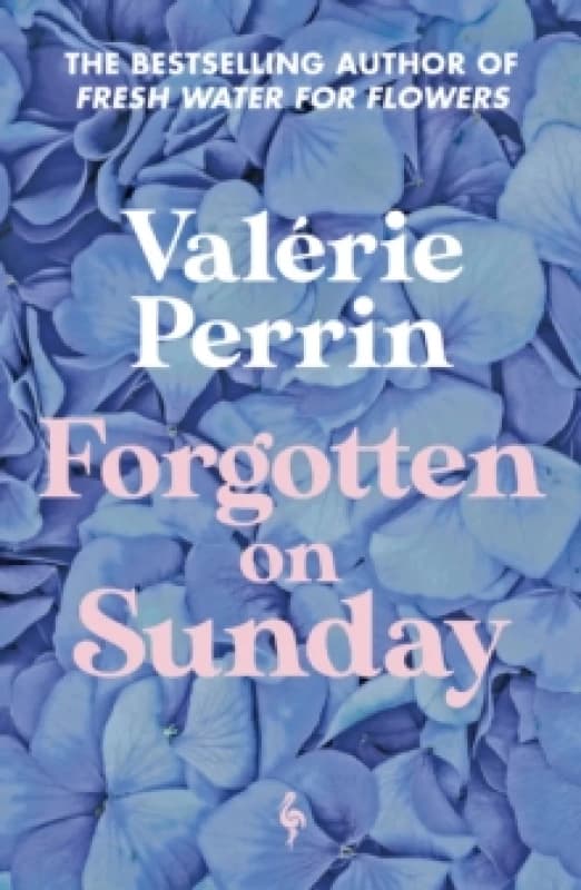Forgotten on Sunday. Paperback. By Valerie Perrin Books