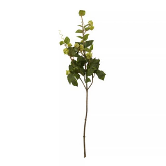 Premier Housewares Elegant 88CM Pale Lime Hops, Versatile Artificial Flower Foliage, Sustainable And Easily Maintained Hops Green