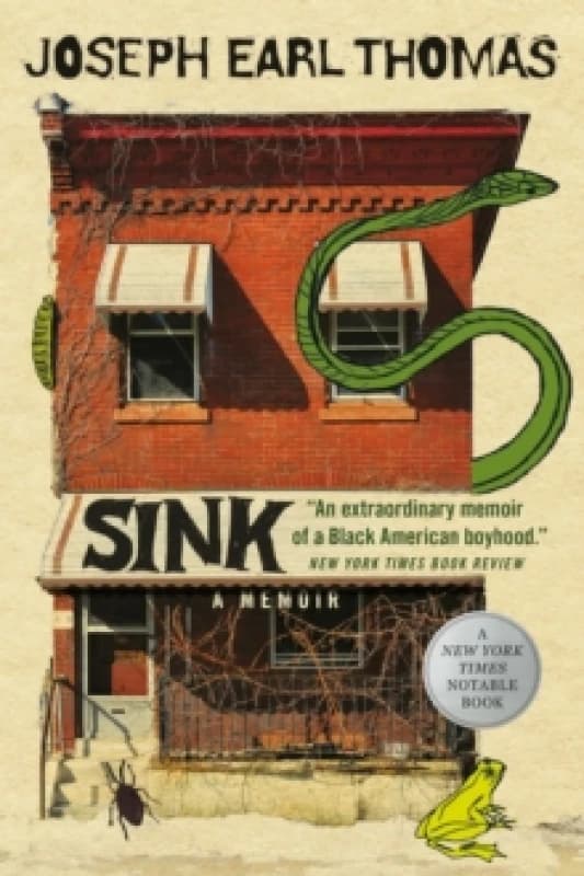 Sink : A Memoir Paperback / softback