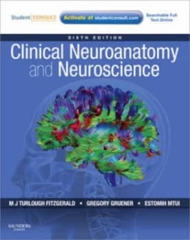 Clinical Neuroanatomy and Neuroscience by Estomih Mtui Paperback