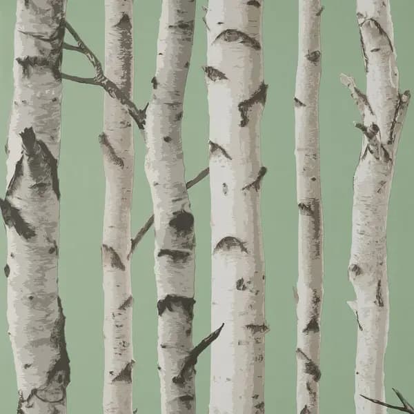 FINE DECOR Fine Decor - Birch Trees Sage Wallpaper Modern Contemporary Paste The Wall WL-FD43291
