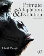 primate adaptation and evolution