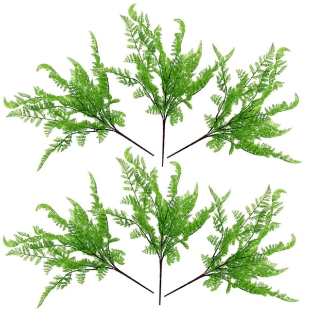 Leaf 6 x 50cm Southern Wood Fern Bush Dark Green Plant