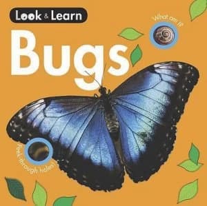 Bugs Board Book