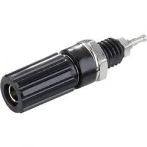 Pole terminal Black 10 A SCI R1 9 Black