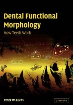 Dental Functional Morphology by Peter W. Lucas Paperback