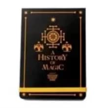 Harry Potter - History of Magic Pocket Notebook