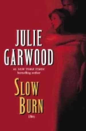 slow burn a novel