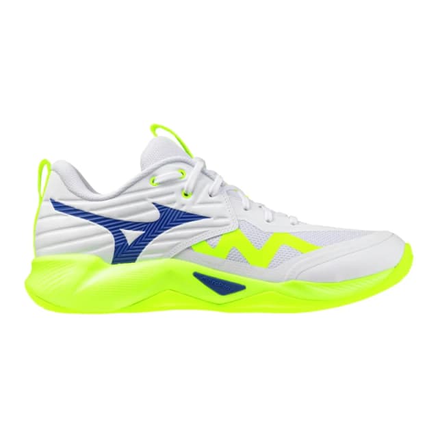 Mizuno Handball Shoes Mizuno Wave Momentum Pro Blanc Male 41 V1GA254039