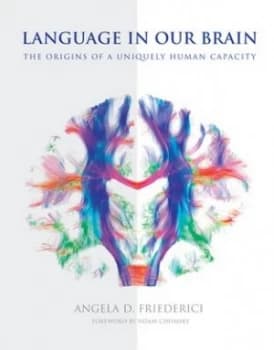Language in our brain by Angela D Friederici