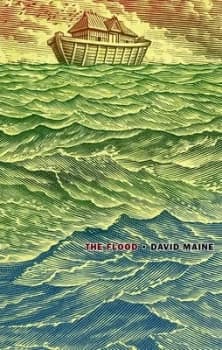 The Flood by David Maine Hardback