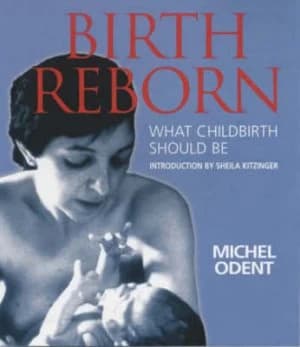 Birth Reborn Paperback