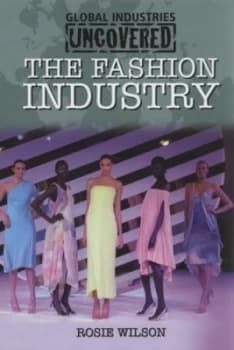The Fashion Industry by Rosie Wilson Hardback