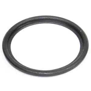 Hope Pro 2/3 Evo Mono RS Drive Side Seal - Grey