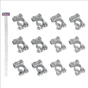 Sealey Clip Strip Deal - Battery Terminals