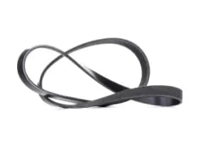 RIDEX V-ribbed belt FORD,VOLVO 305B0258 1421340,1421341,1453619 Serpentine belt,Auxiliary belt,Poly V-belt,Ribbed belt,Multi V-belt,Poly belt,30731407
