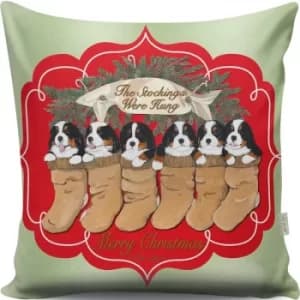 A12999 Multicolor Cushion