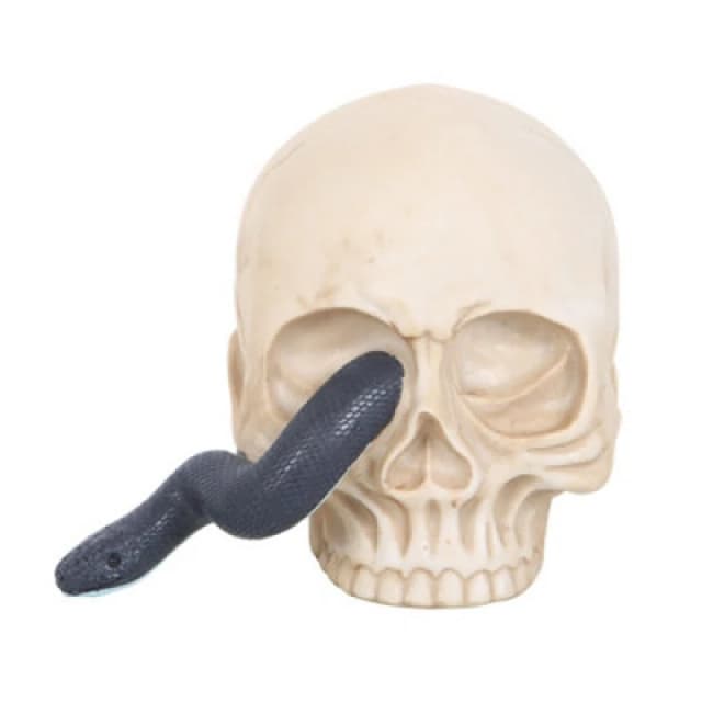 Something Different Something Different Skull & Snake Ornament in White White One Size Unisex 5063750918075