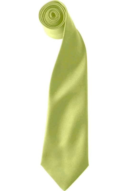 Premier Premier Men Colours Satin Clip Tie Pack of 2 in Lime Lime One Size Male 5059269153915