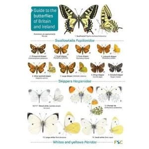Guide to the butterflies of Britain and Ireland Paperback / softback 2019