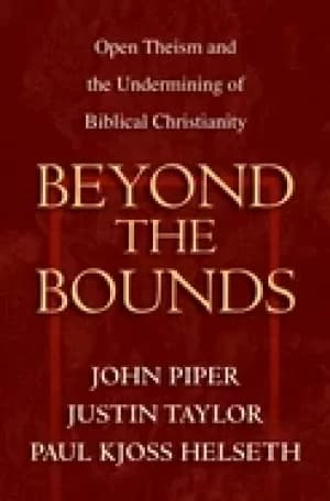 beyond the bounds open theism and the undermining of biblical christianity