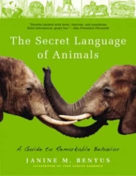 The Secret Language of Animals by Alexandra Horowitz Book