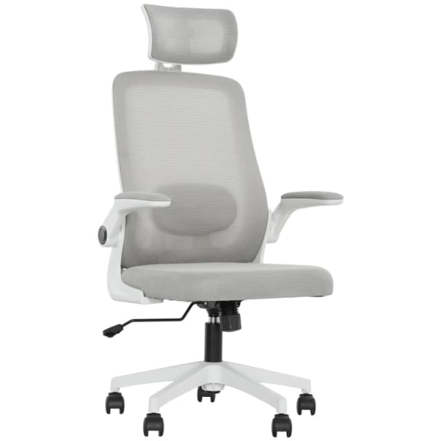 HOMCOM HOMCOM Executive Office Chair, Ergonomic Mesh Desk Chair with Lumbar Support in Grey Grey One Size Unisex 5063603668416