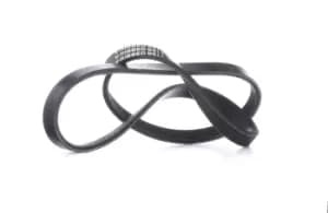 RIDEX V-ribbed belt 305P0019 Serpentine belt,Auxiliary belt FORD,RENAULT,FIAT,TRANSIT MK-7 Kasten,Transit V363 Kastenwagen (FCD, FDD)