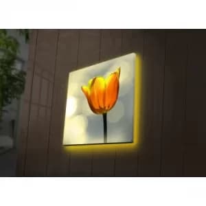 2828DACT-55 Multicolor Decorative LED Lighted Canvas Painting