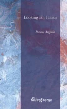 Looking for Icarus by Roselle Angwin Paperback