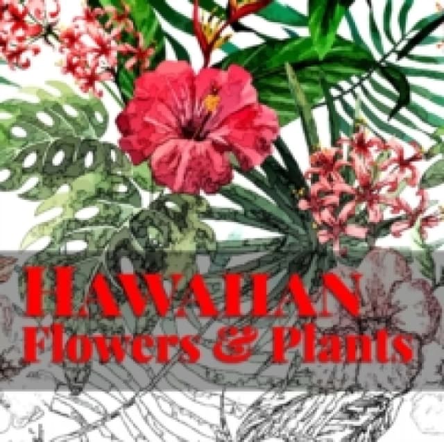 Hawaiian Flowers & Plants Paperback / softback