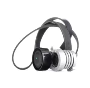 RIDEX V-ribbed belt set MERCEDES-BENZ,RENAULT,NISSAN 542R0108 117202495R,117202495R,117202495R 117206096R,117207126R