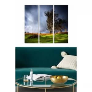 MDF79249192 Multicolor Decorative MDF Painting (3 Pieces)