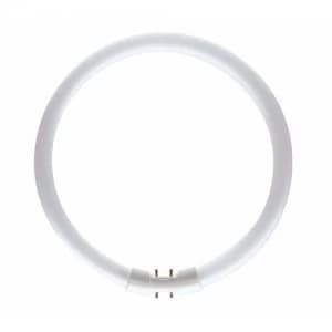 Bell 55W CFL T5 2GX13 Circular Bulb - Warm White
