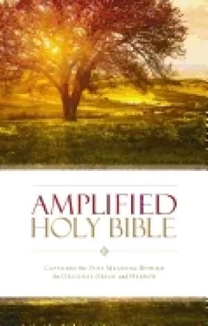 amplified bible am captures the full meaning behind the original greek and
