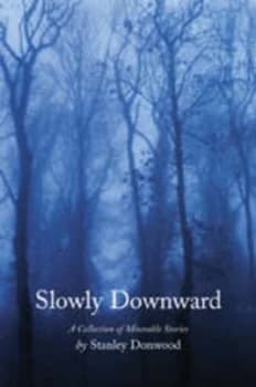 Slowly Downward by Stanley Donwood Book