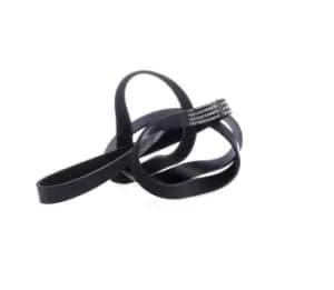 RIDEX V-ribbed belt MERCEDES-BENZ,JEEP 305P0229 9091602380,53011098,9091602380 0139975092,0149971592,0149977792,0159970392,A0139975092,A0149971592