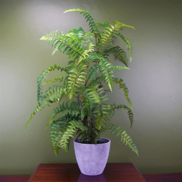 Leaf 70cm Artificial Tree Fern with Decorative Planter Green unisex