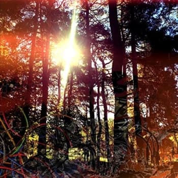 Viviankrist - Cross Modulation - Bootleg Remixes Vinyl